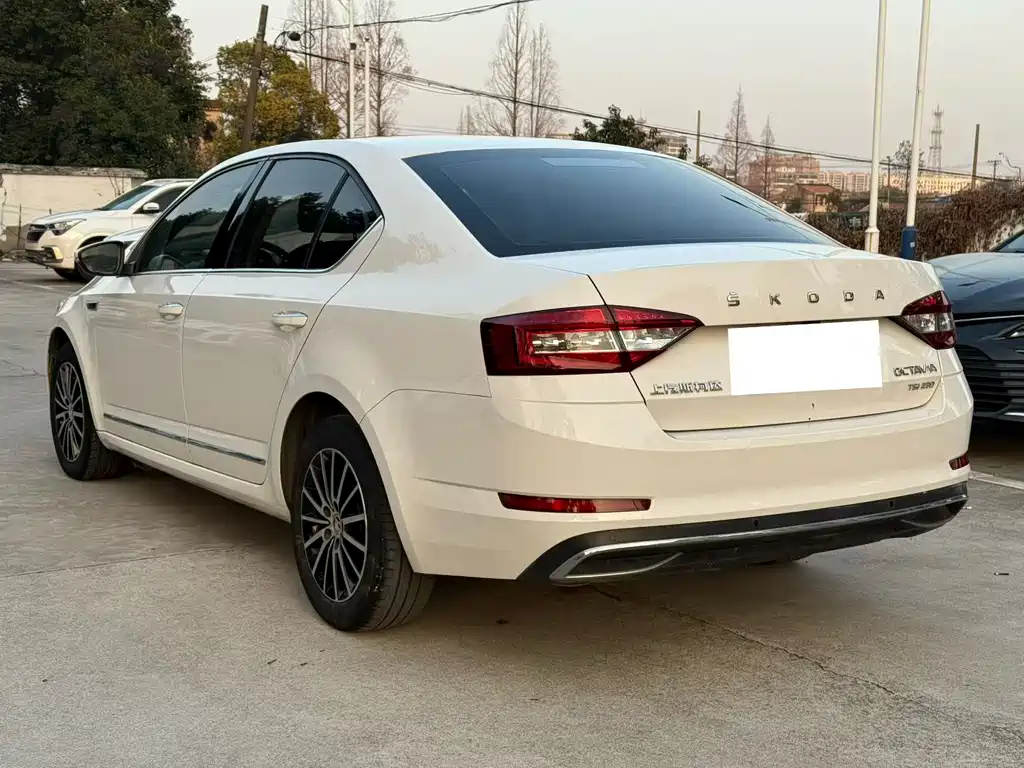 Skoda Octavia 2020 — фото 9