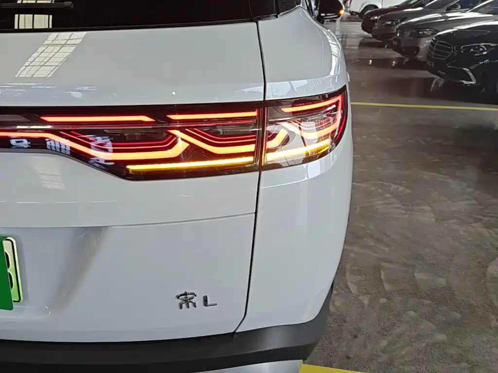 BYD L DM-i 2024 — фото 8