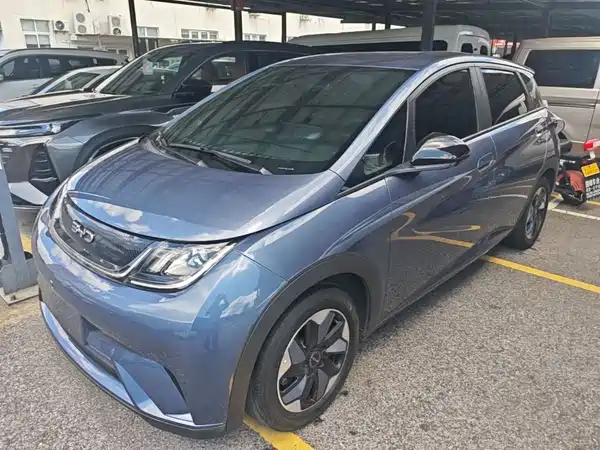BYD Dolphin 2024