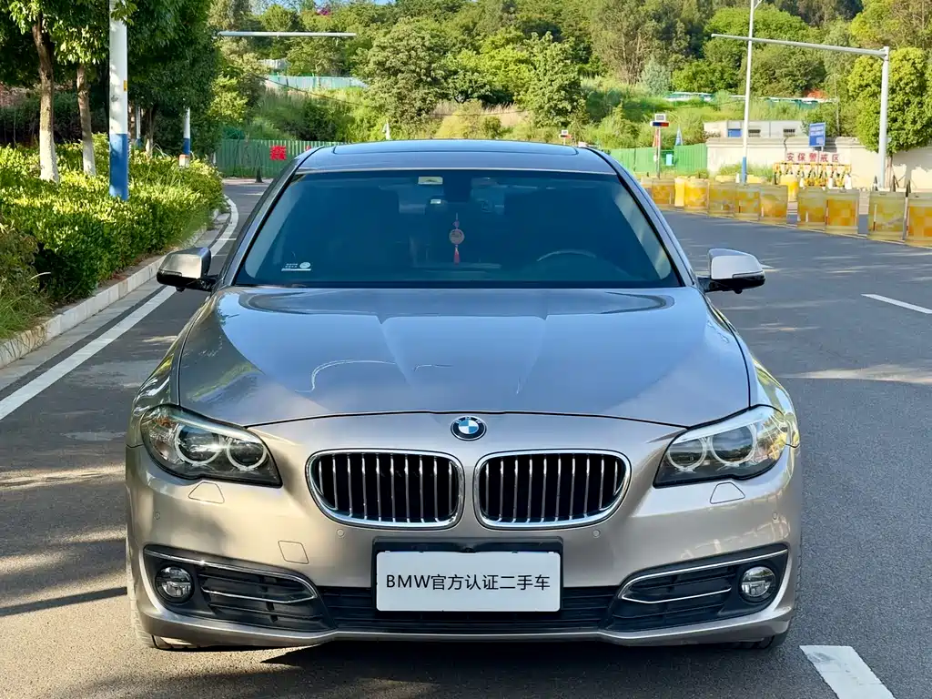 BMW 5 Series 2015 — фото 2