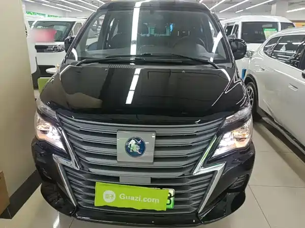 Dongfeng Lingzhi New Energy 2022