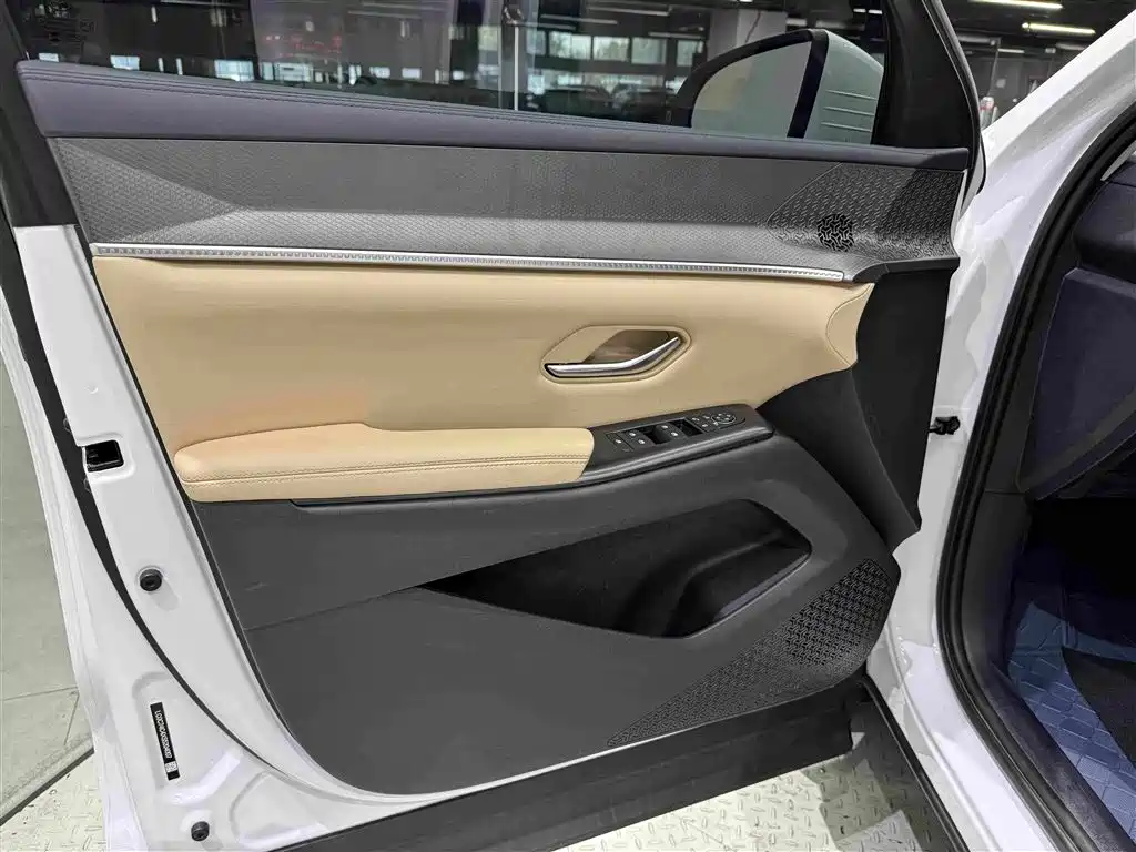 BYD Song Pro New Energy 2025 — фото 10