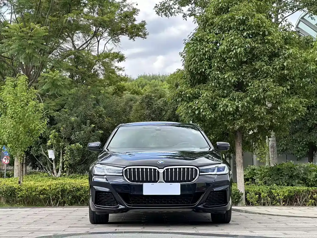 BMW 5 Series 2021
