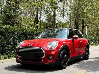 MINI MINI 2015