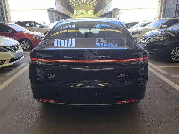 BYD Destroyer 05 2024