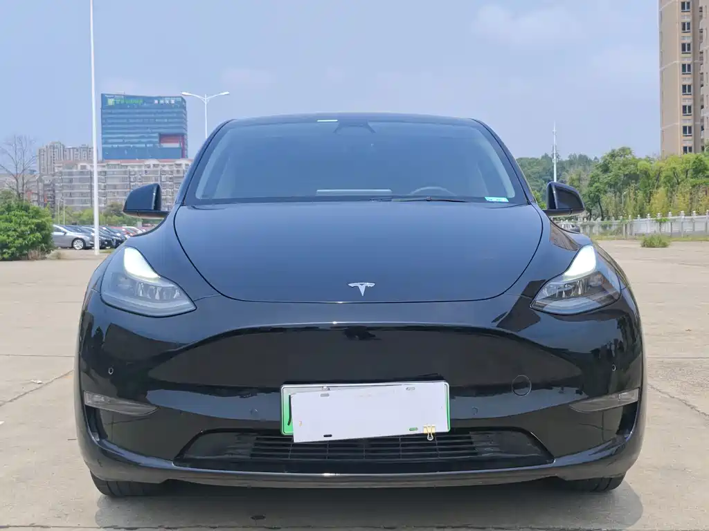Tesla Model Y 2021 — фото 2