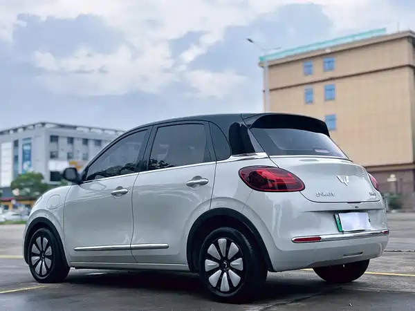 Wuling Bingo 2024
