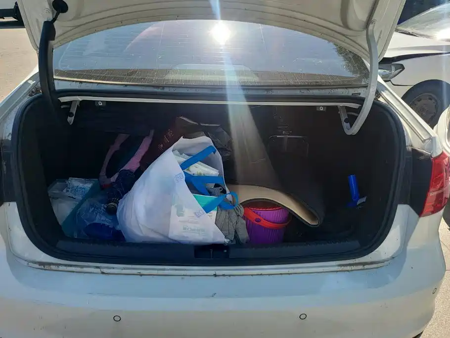 Volkswagen Sagitar 2018