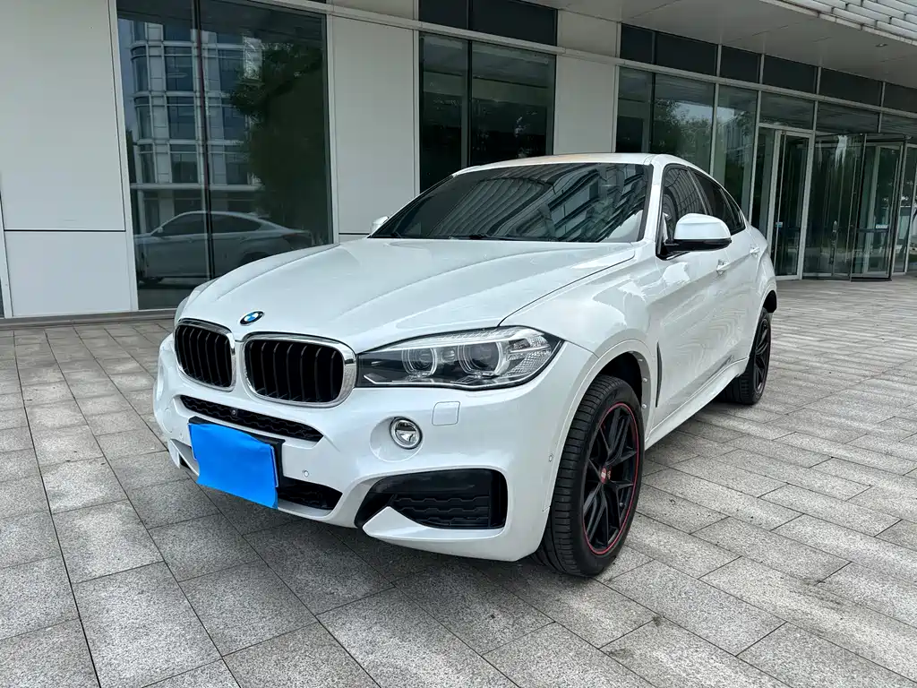 BMW X6 2019 — фото 1