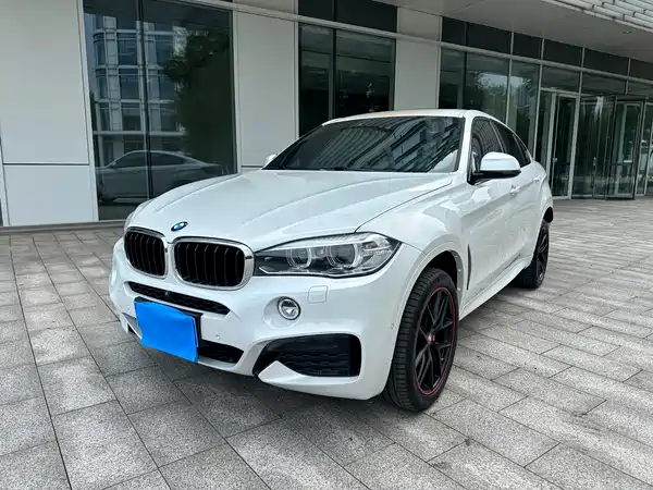 BMW X6 2019