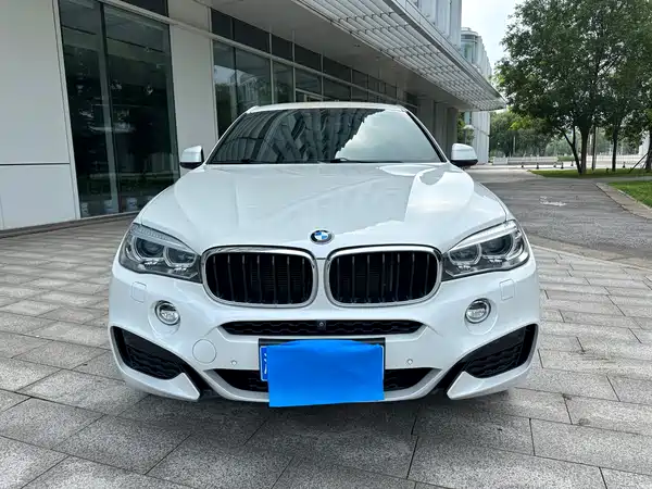 BMW X6 2019