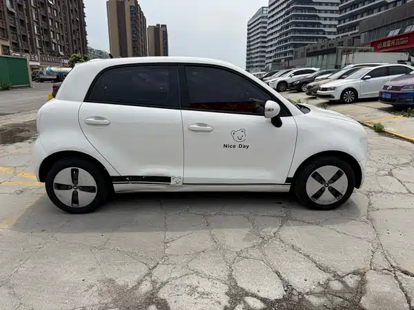 Ora Black Cat 2022