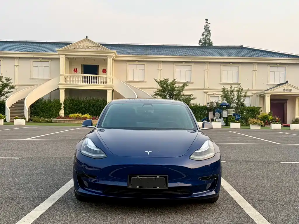 Tesla Model 3 2020 — фото 2