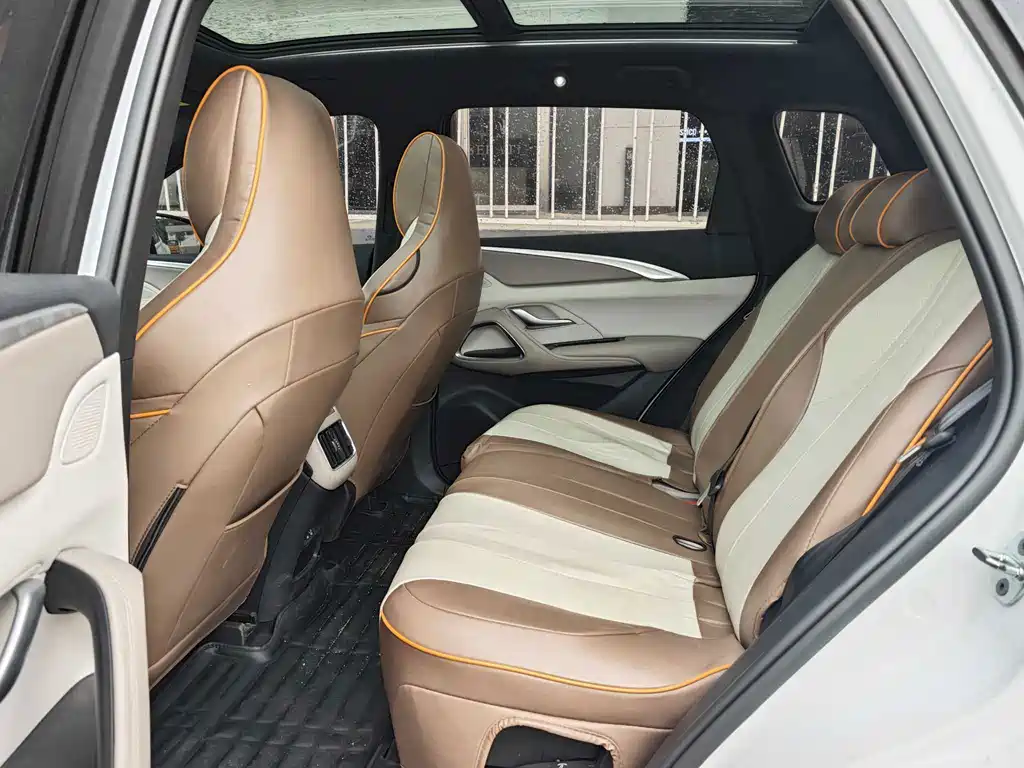 BYD Song Pro New Energy 2024 — фото 12