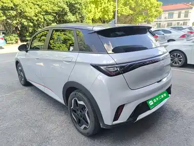 BYD Dolphin 2022