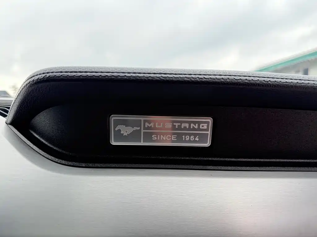 Ford Mustang 2016 — фото 14