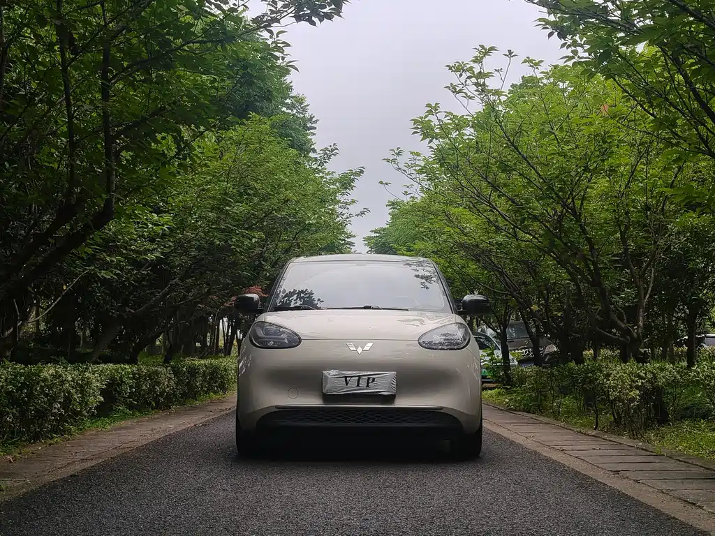 Wuling Bingo 2024