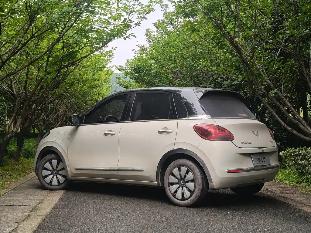 Wuling Bingo 2024