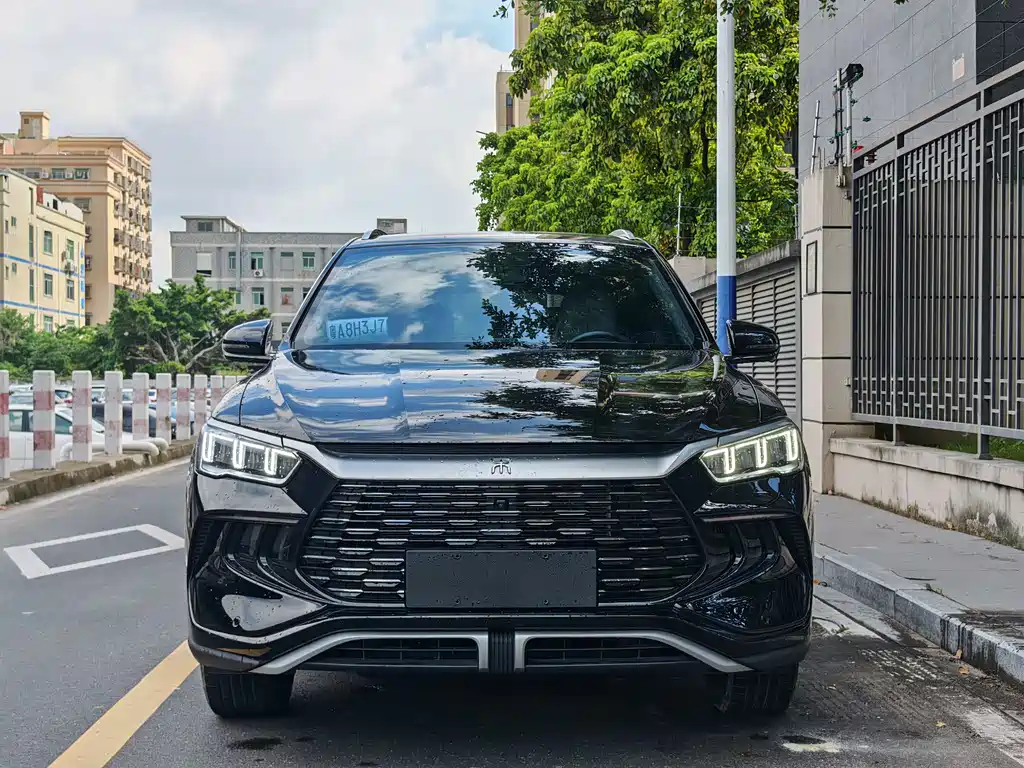 BYD Pro New Energy 2024