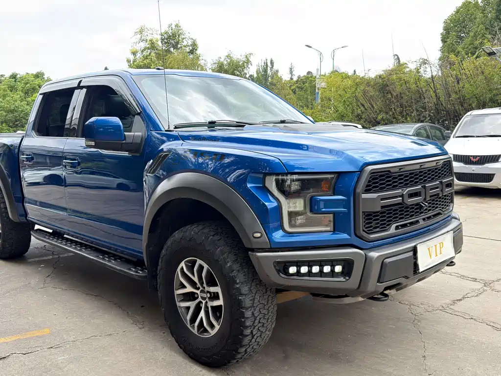Ford F-150 Raptor 2017 — фото 20
