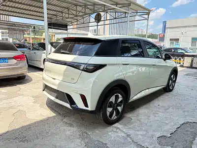 BYD Dolphin 2025