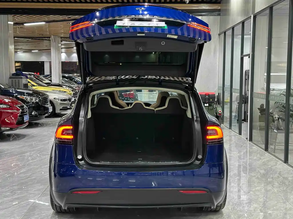 Tesla Model X 2019 — фото 9