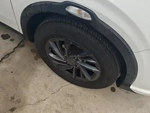 Neta V 2021