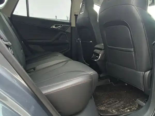 Roewe RX5 New Energy 2022