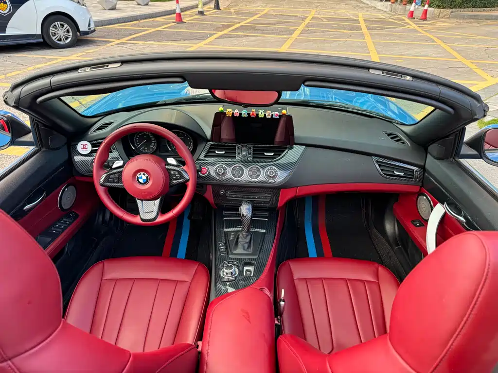BMW Z4 2010