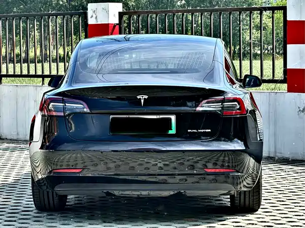 Tesla Model 3 2019