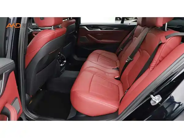 BMW 5 Series 2020