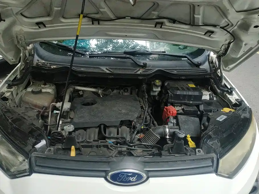 Ford Ecosport 2014 — фото 10