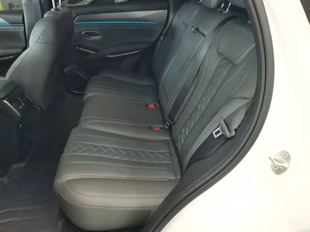 BYD L DM-i 2025 — фото 17