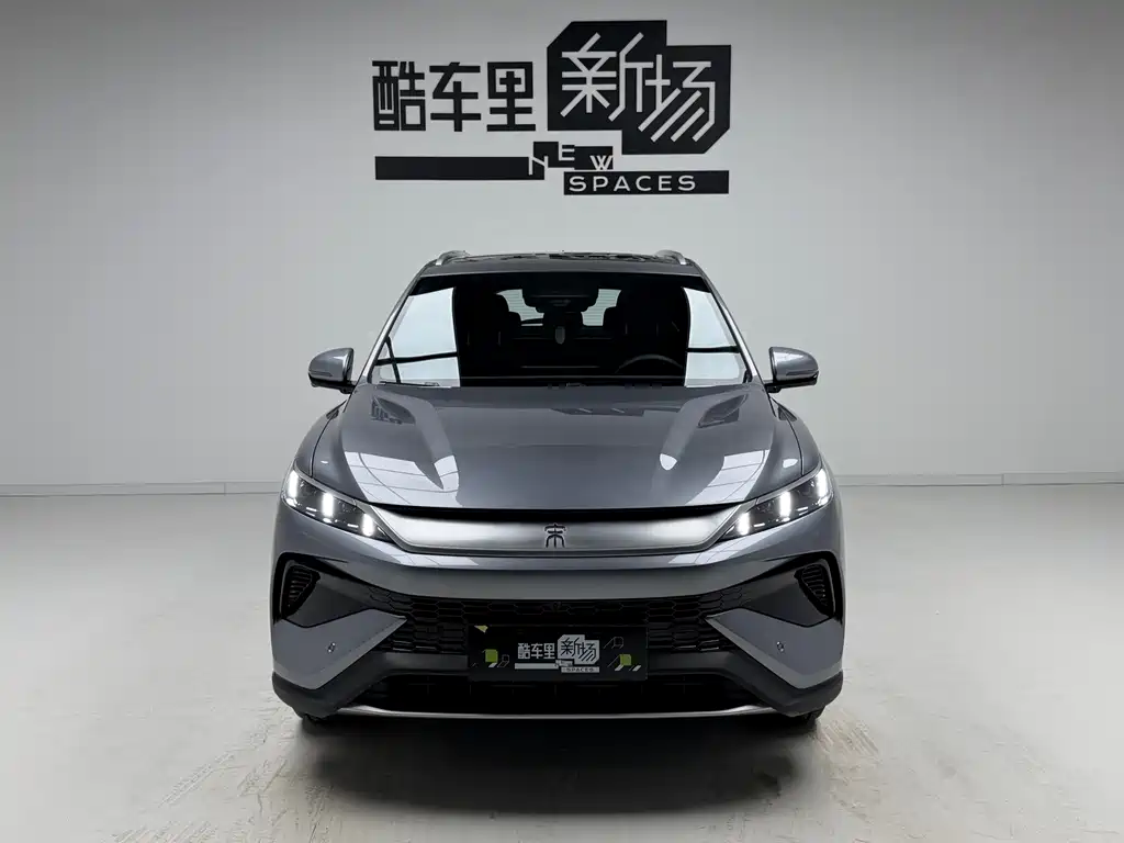 BYD Pro New Energy 2025 — фото 2