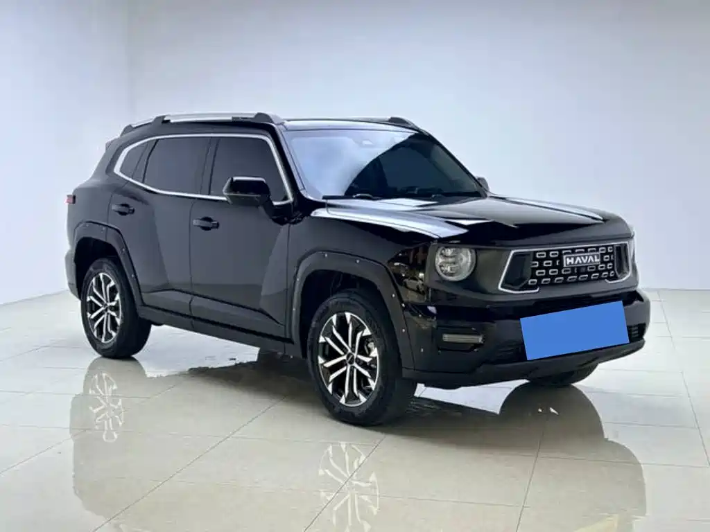 Haval Big Dog 2024 — фото 3