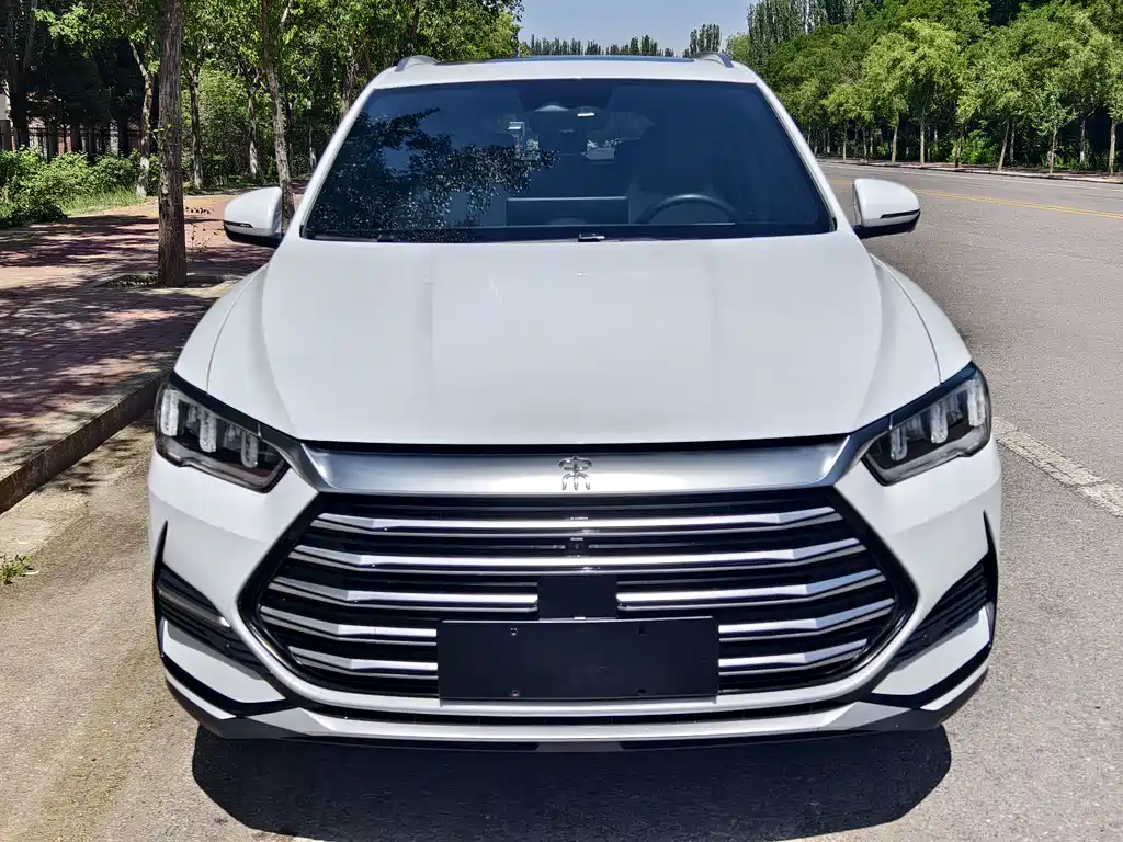 BYD Pro New Energy 2023 — фото 1