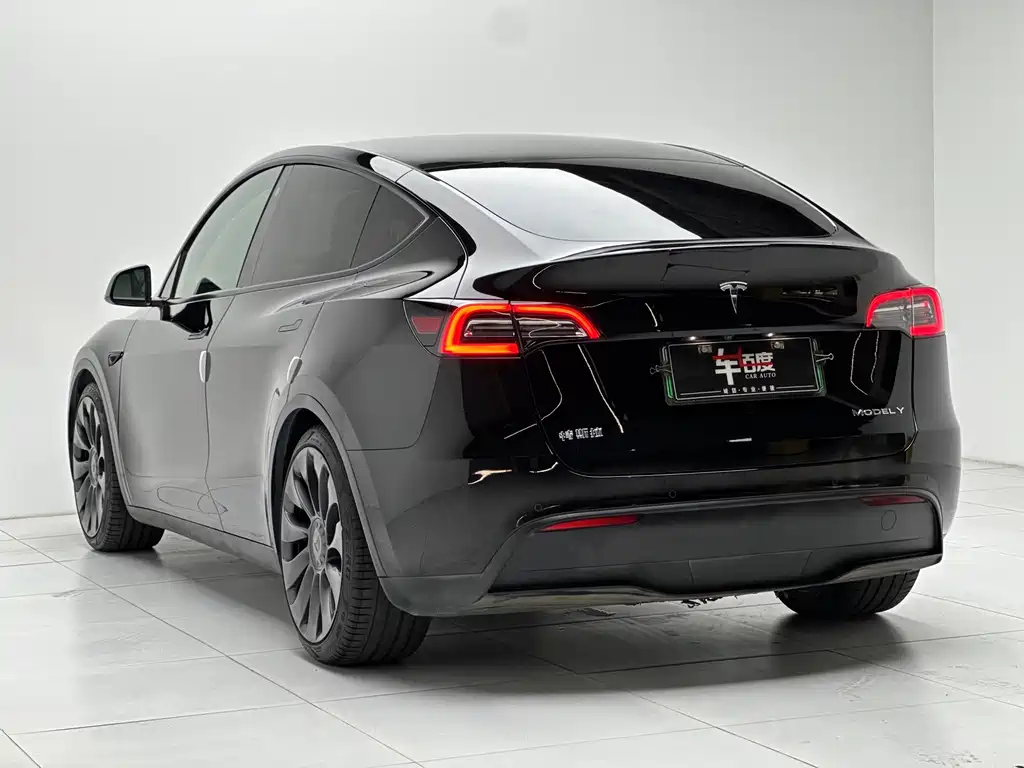 Tesla Model Y 2021 — фото 6