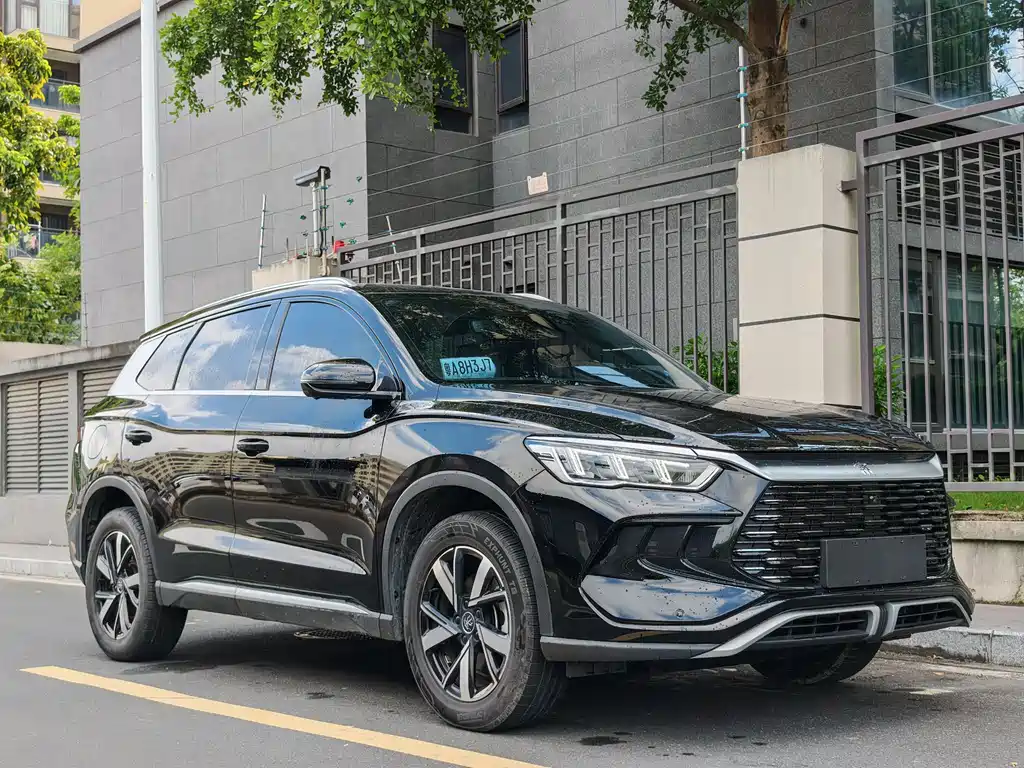 BYD Pro New Energy 2024