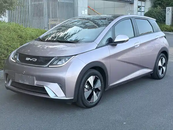 BYD Dolphin 2024