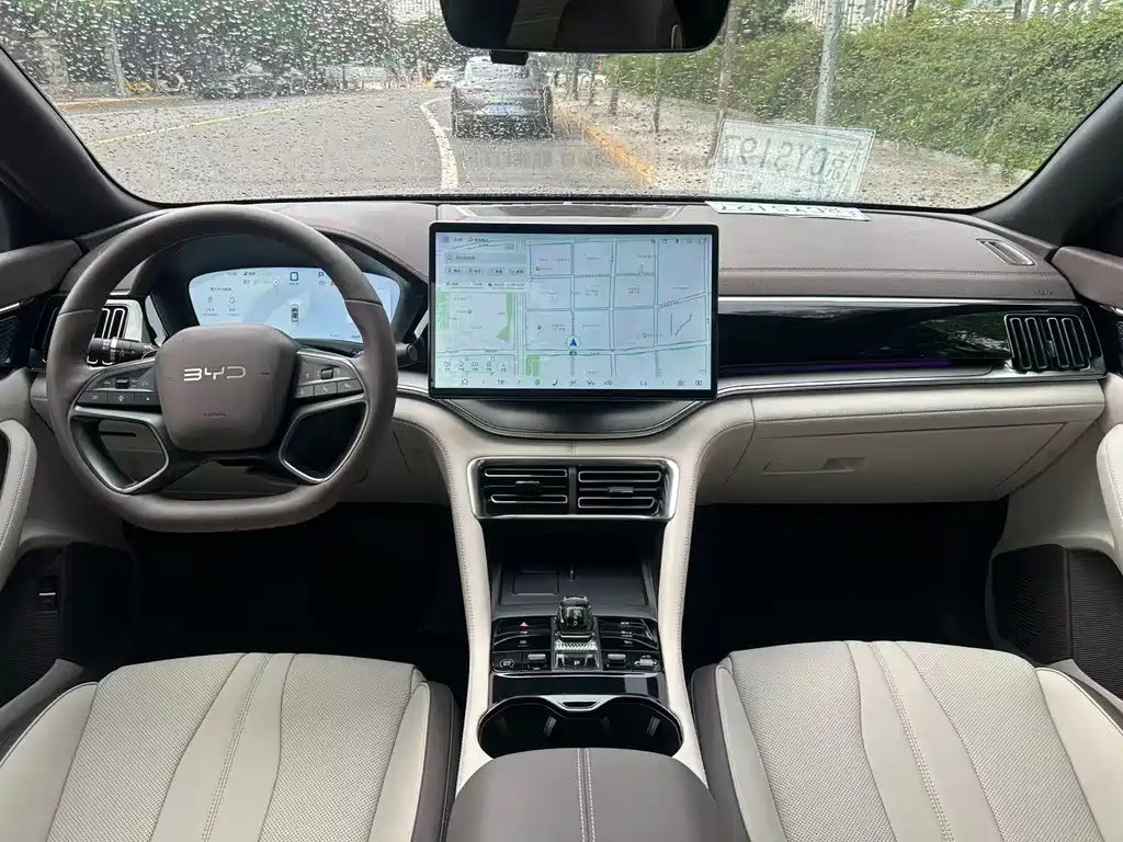 BYD PLUS New Energy 2025 — фото 13