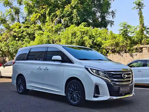 GAC Trumpchi M8 2020