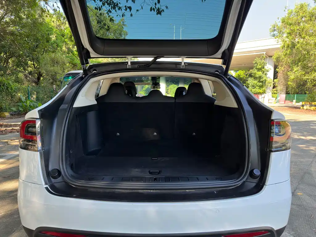 Tesla Model X 2016 — фото 15