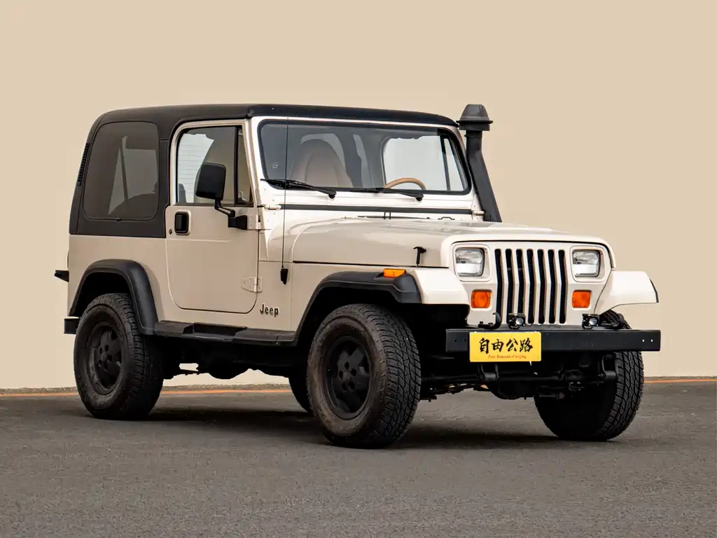 Jeep Wrangler 1995 — фото 2