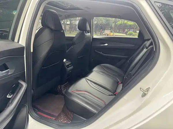Geely Binrui 2023