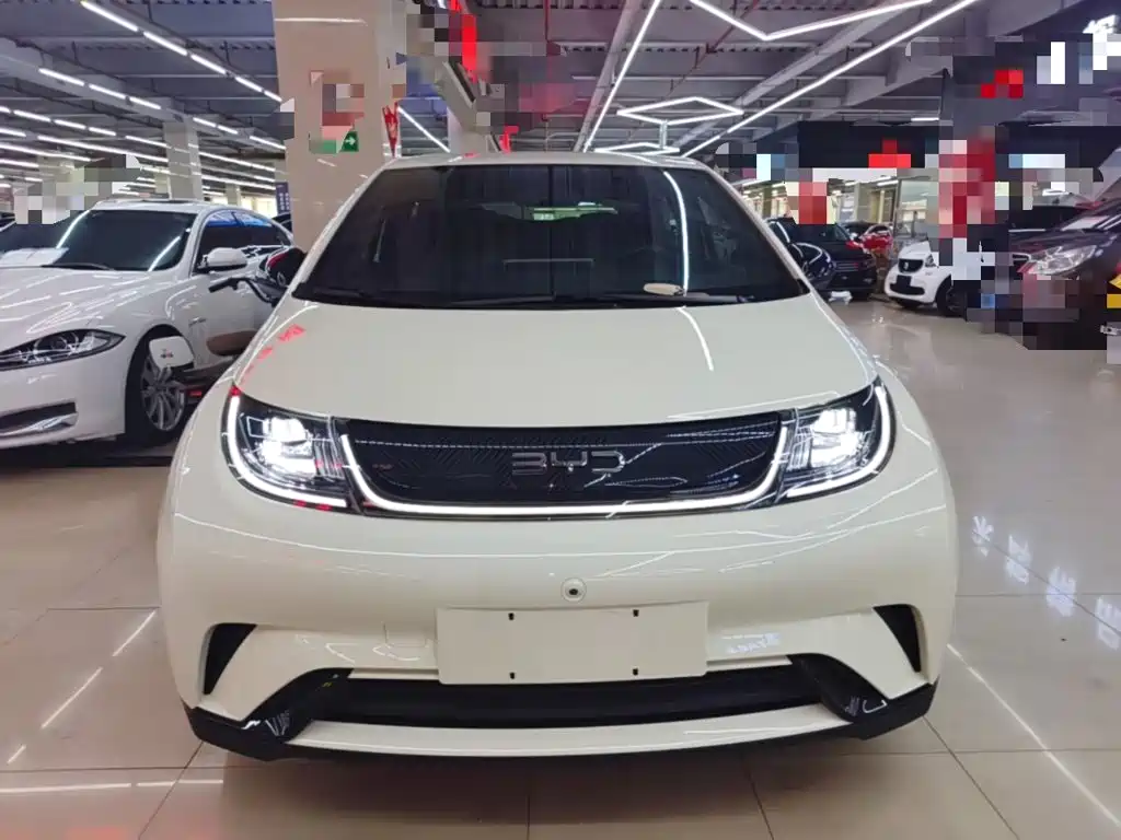 BYD Dolphin 2024
