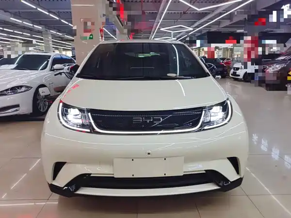 BYD Dolphin 2024