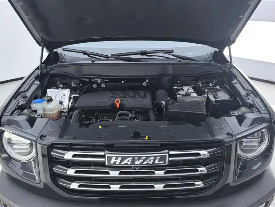 Haval Big Dog 2022 — фото 10