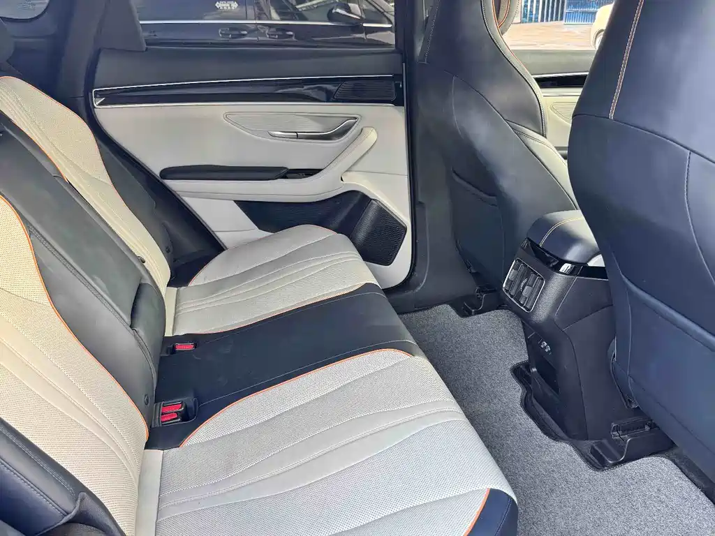 BYD Song PLUS New Energy 2023 — фото 8