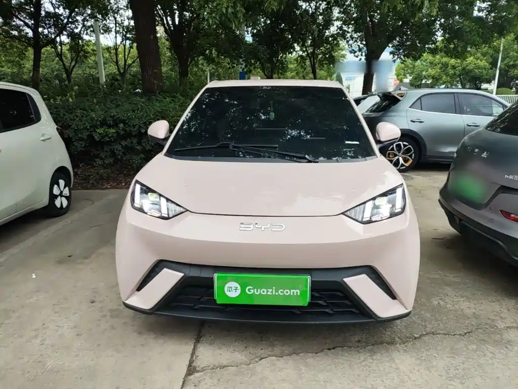 BYD Seagull 2024