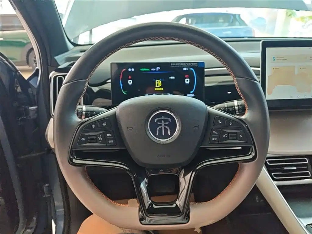 BYD Pro New Energy 2024 — фото 11